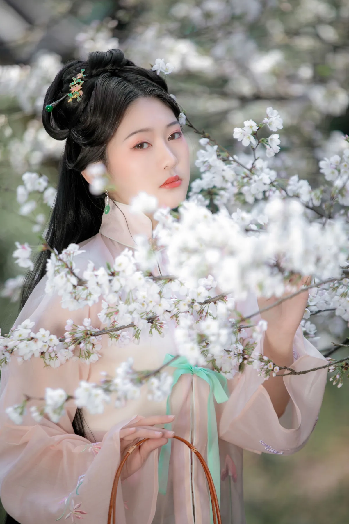樱