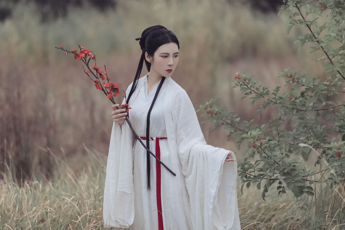 白衣隐1