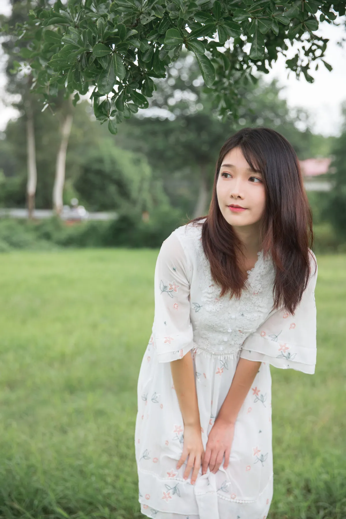 阳光玫瑰1