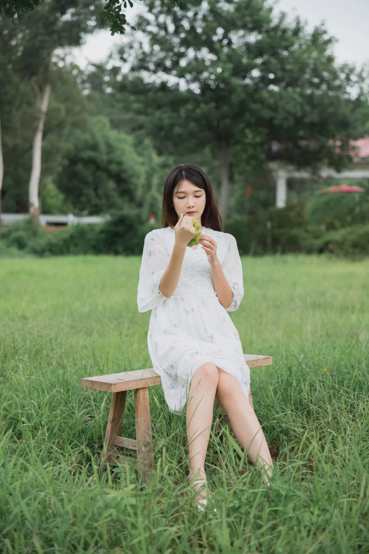 阳光玫瑰