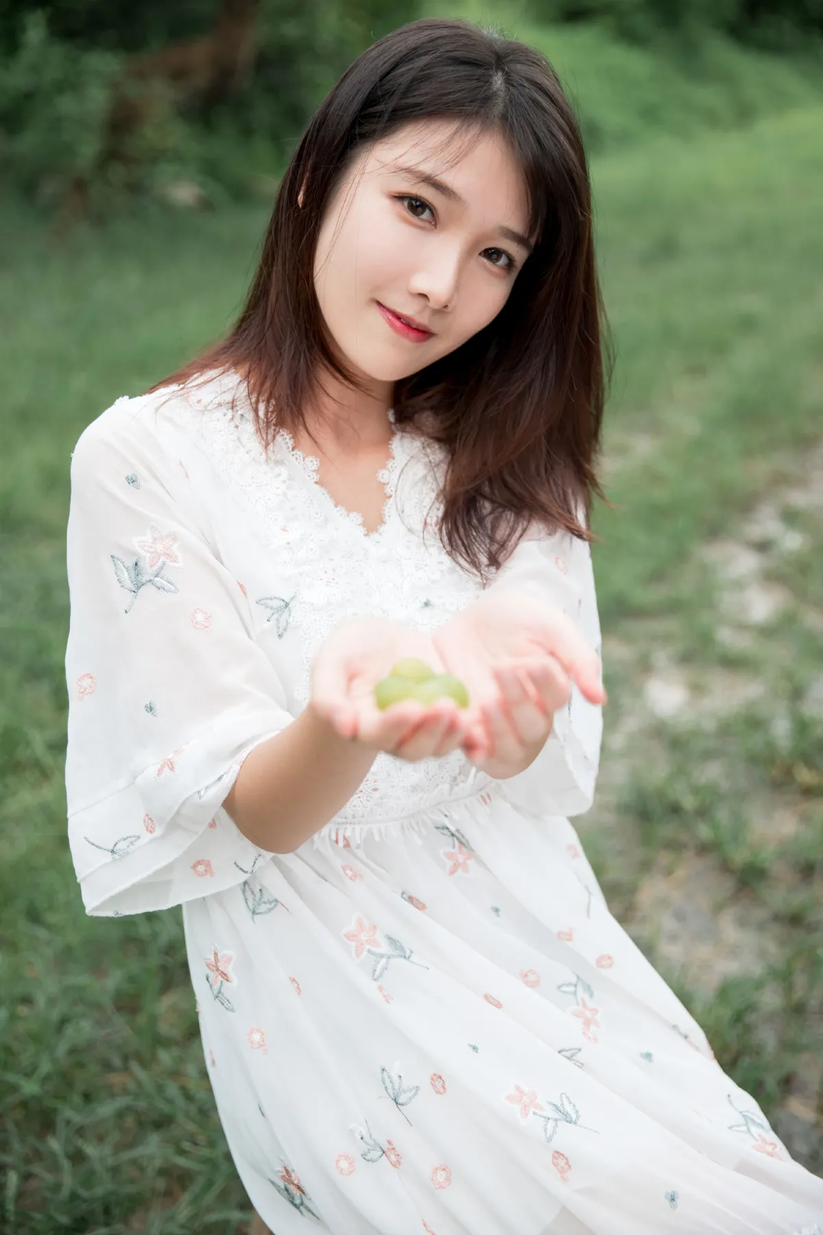 阳光玫瑰