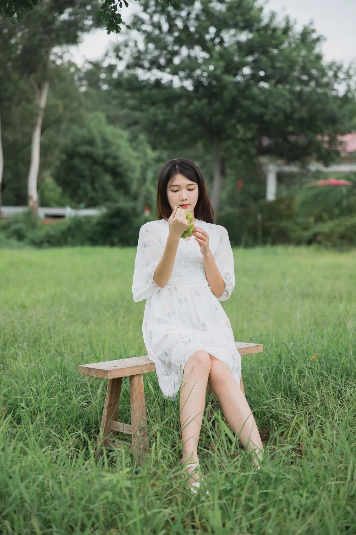 阳光玫瑰3