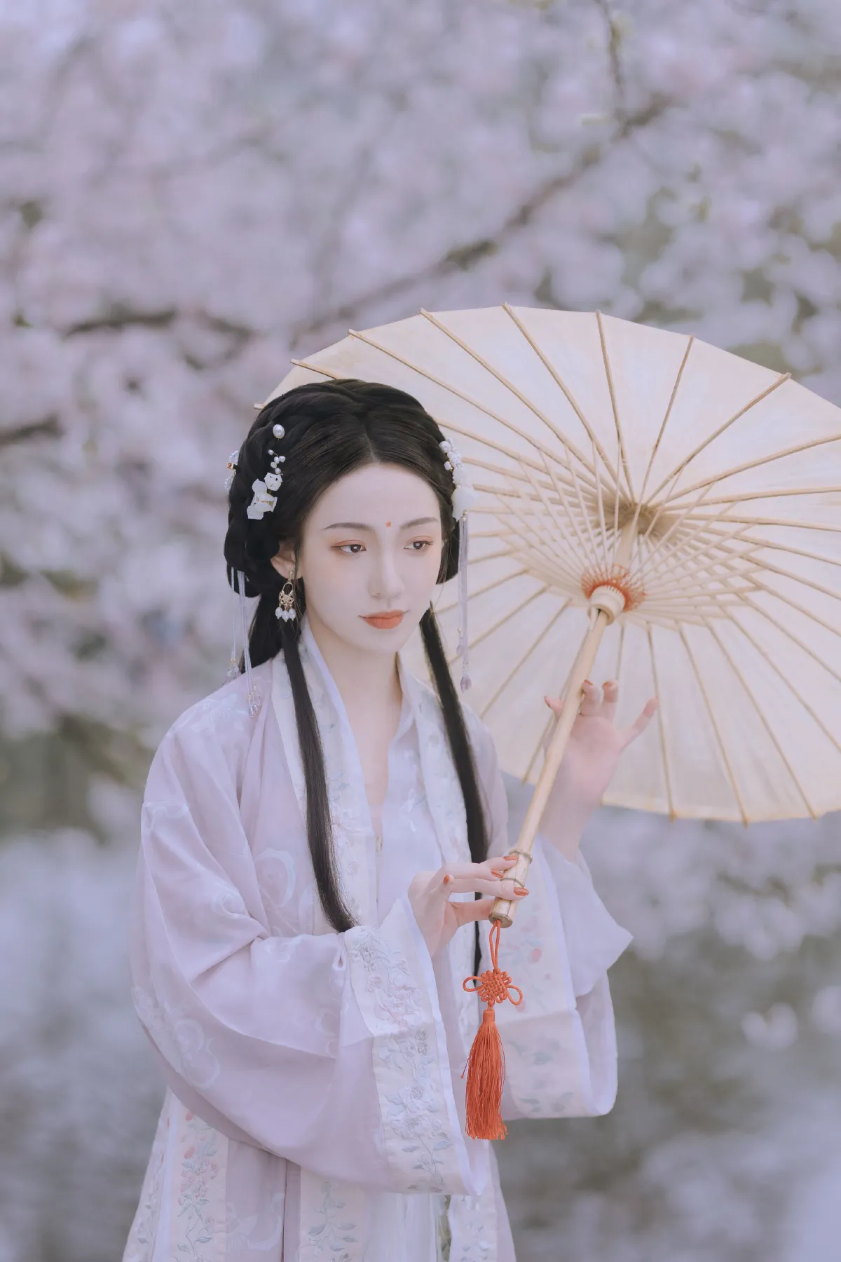 樱花落1