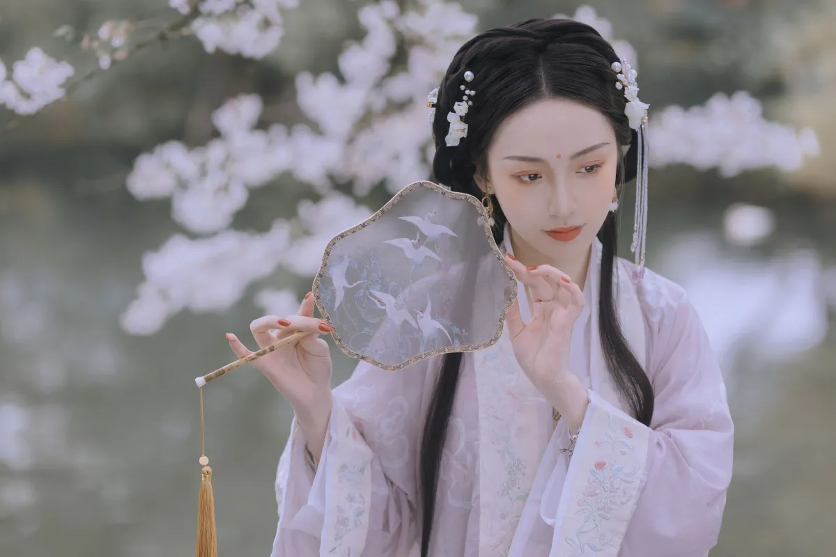 樱花落2