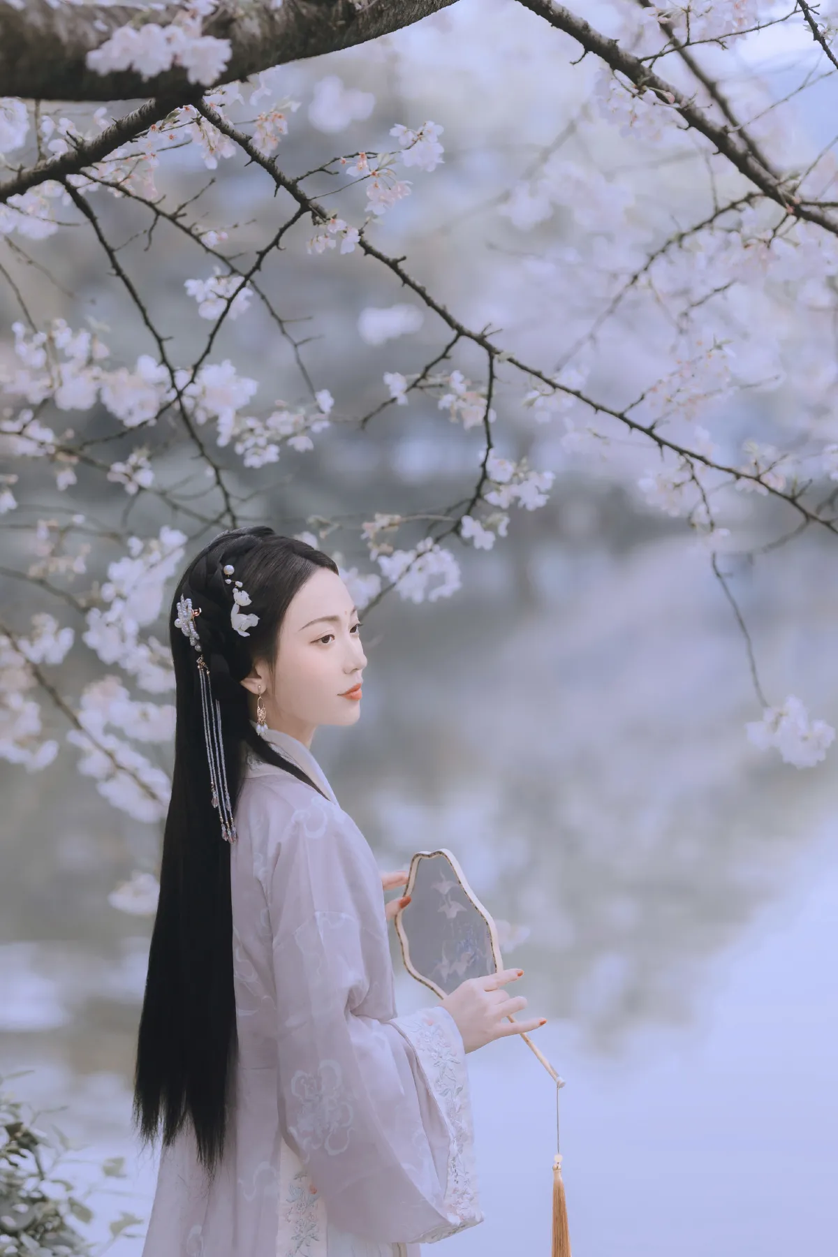 樱花落