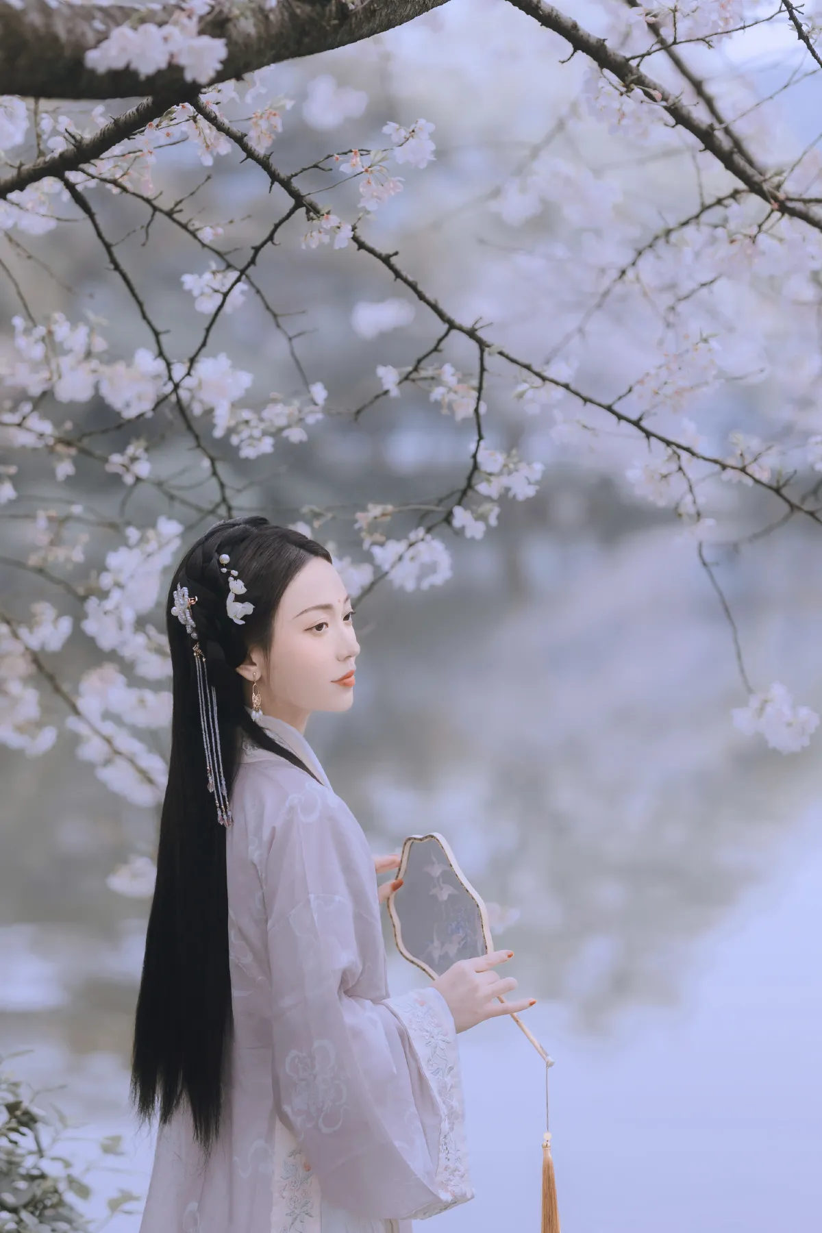 樱花落3