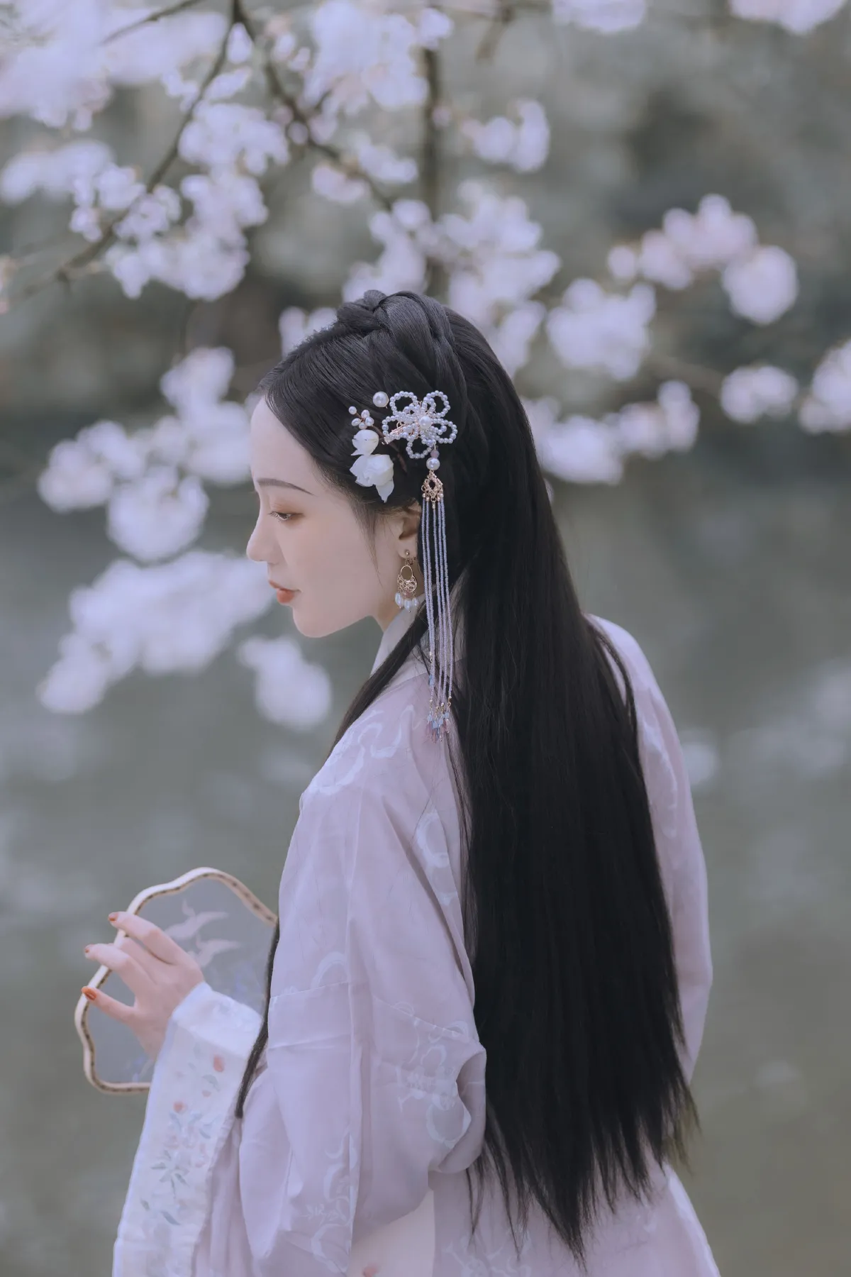 樱花落