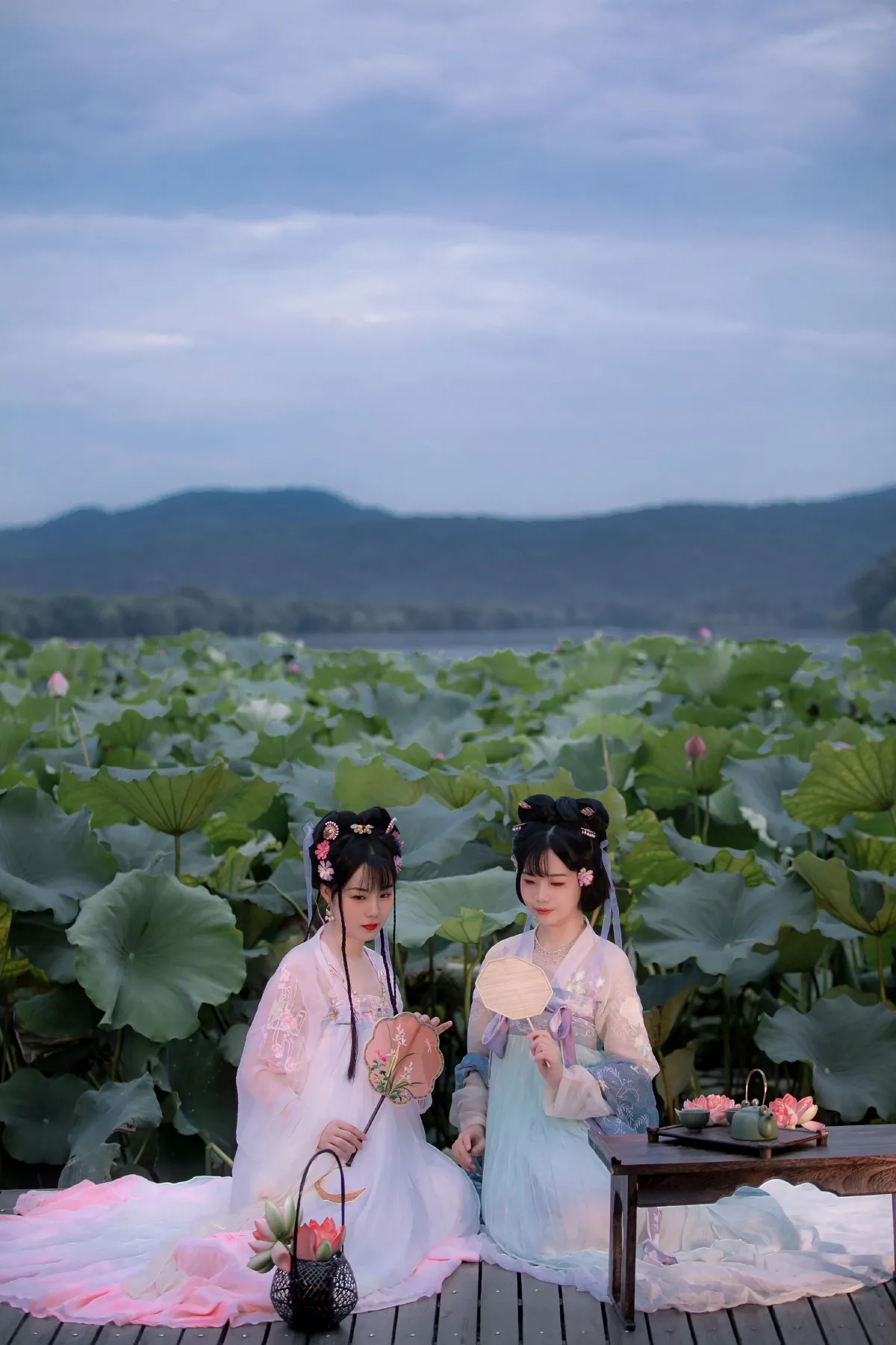 赏荷2