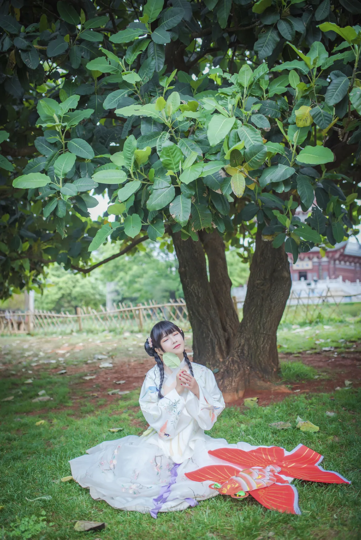 橘子2