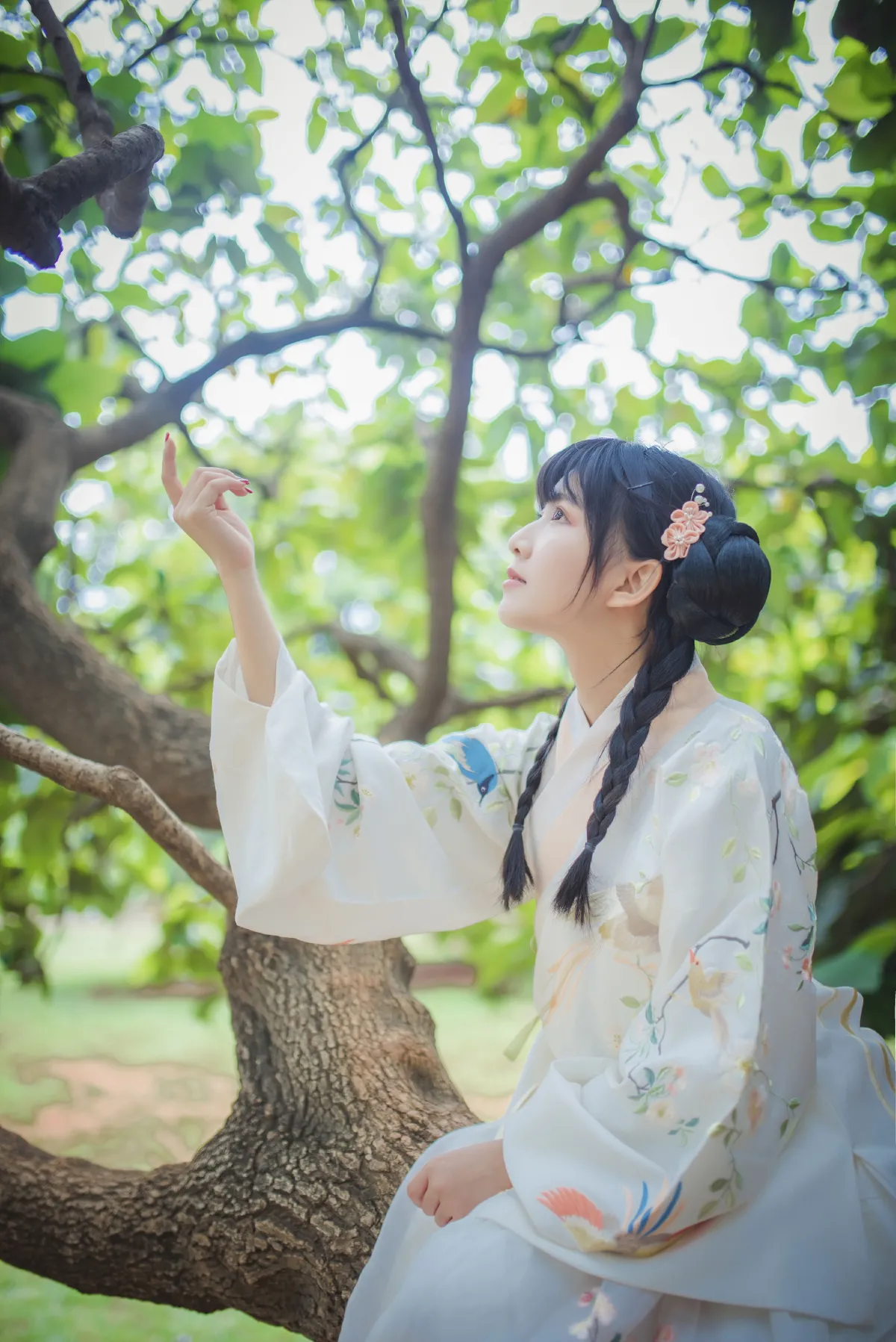 橘子