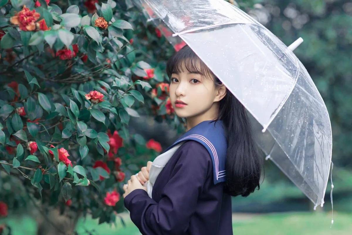 山茶3
