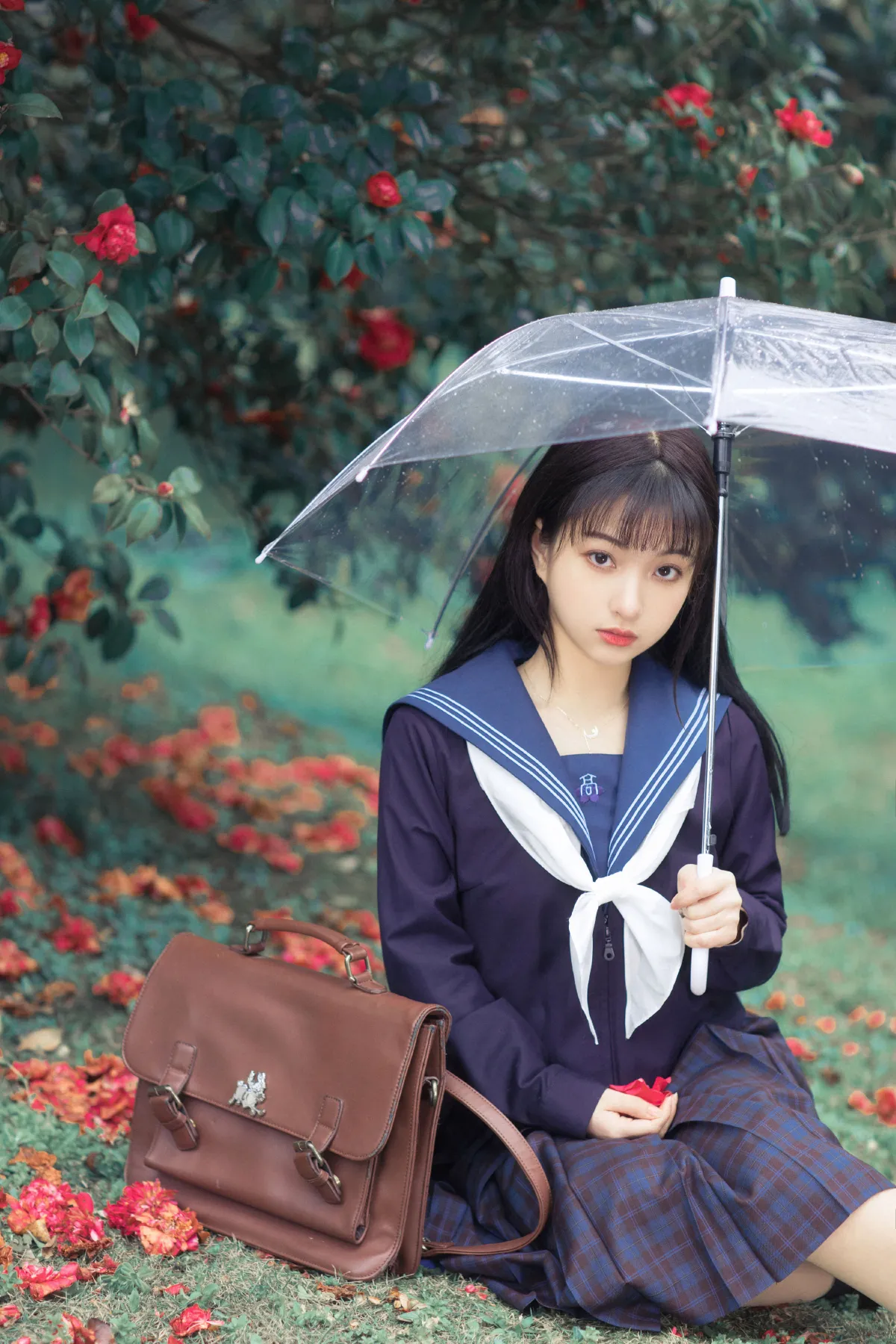 山茶
