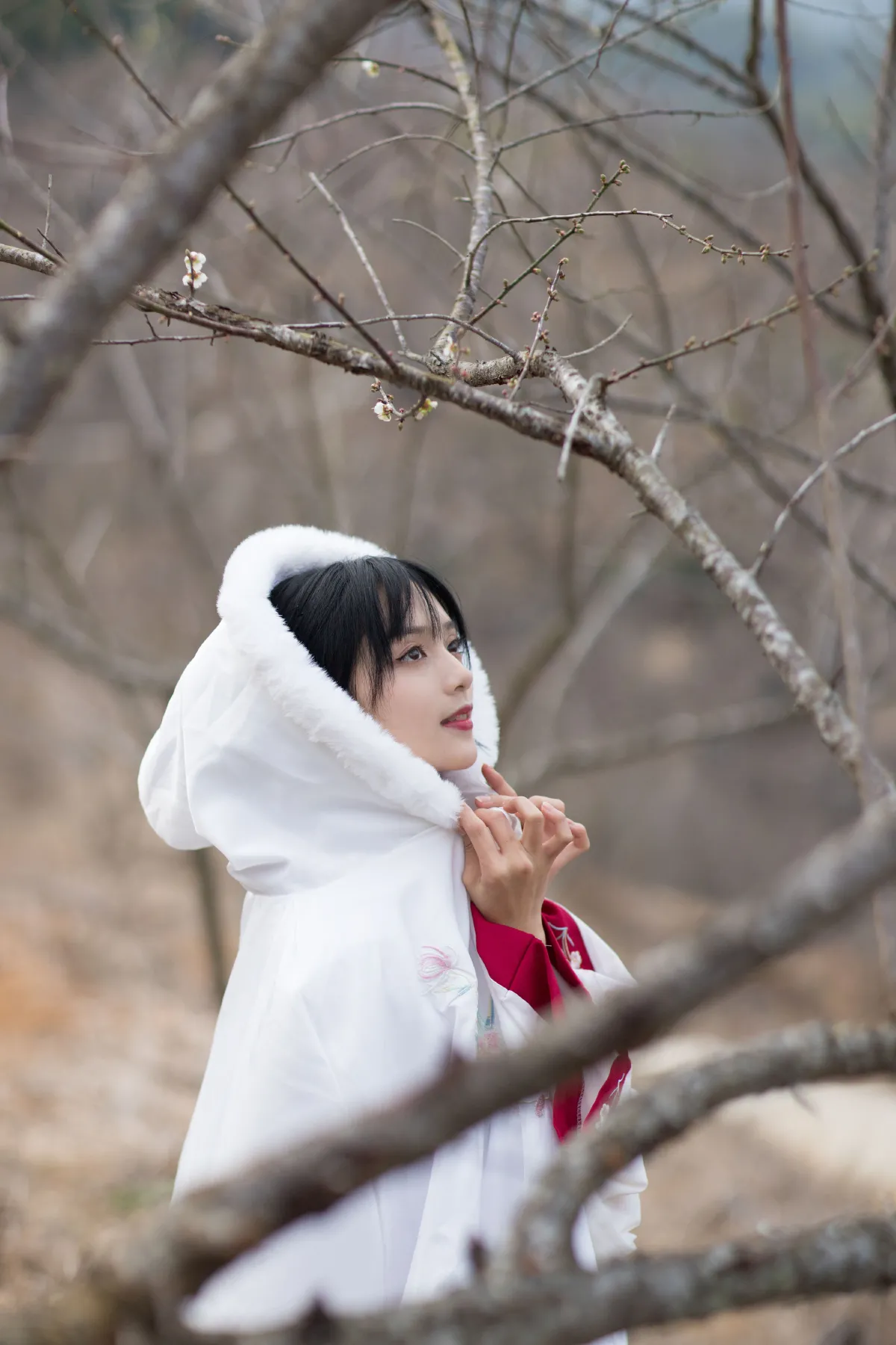 红昭愿1