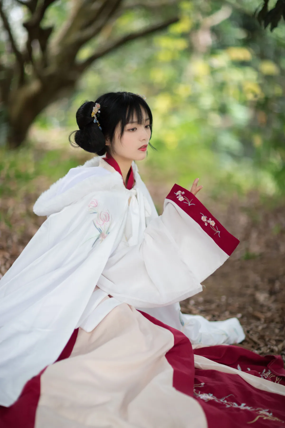 红昭愿