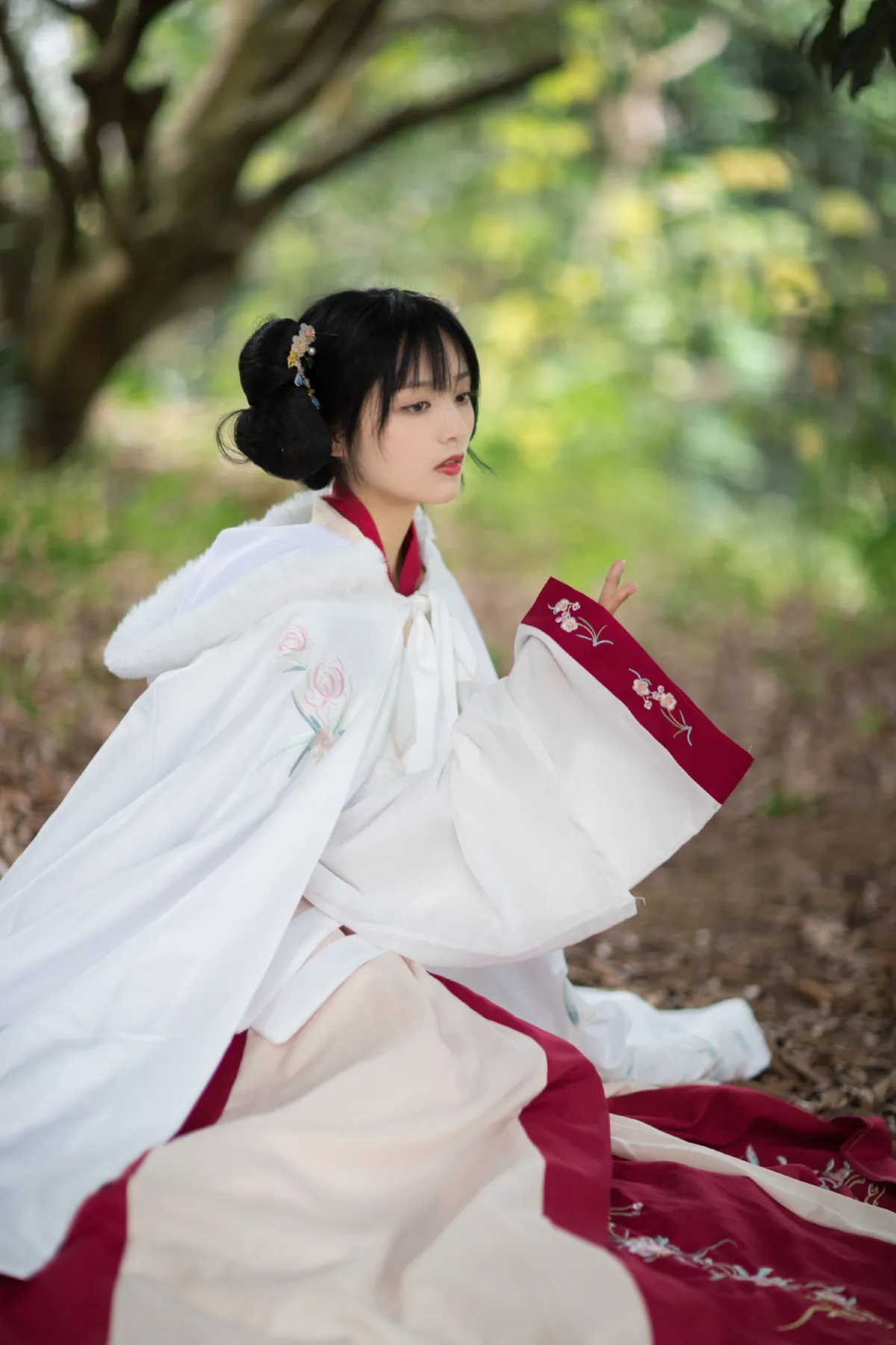 红昭愿2