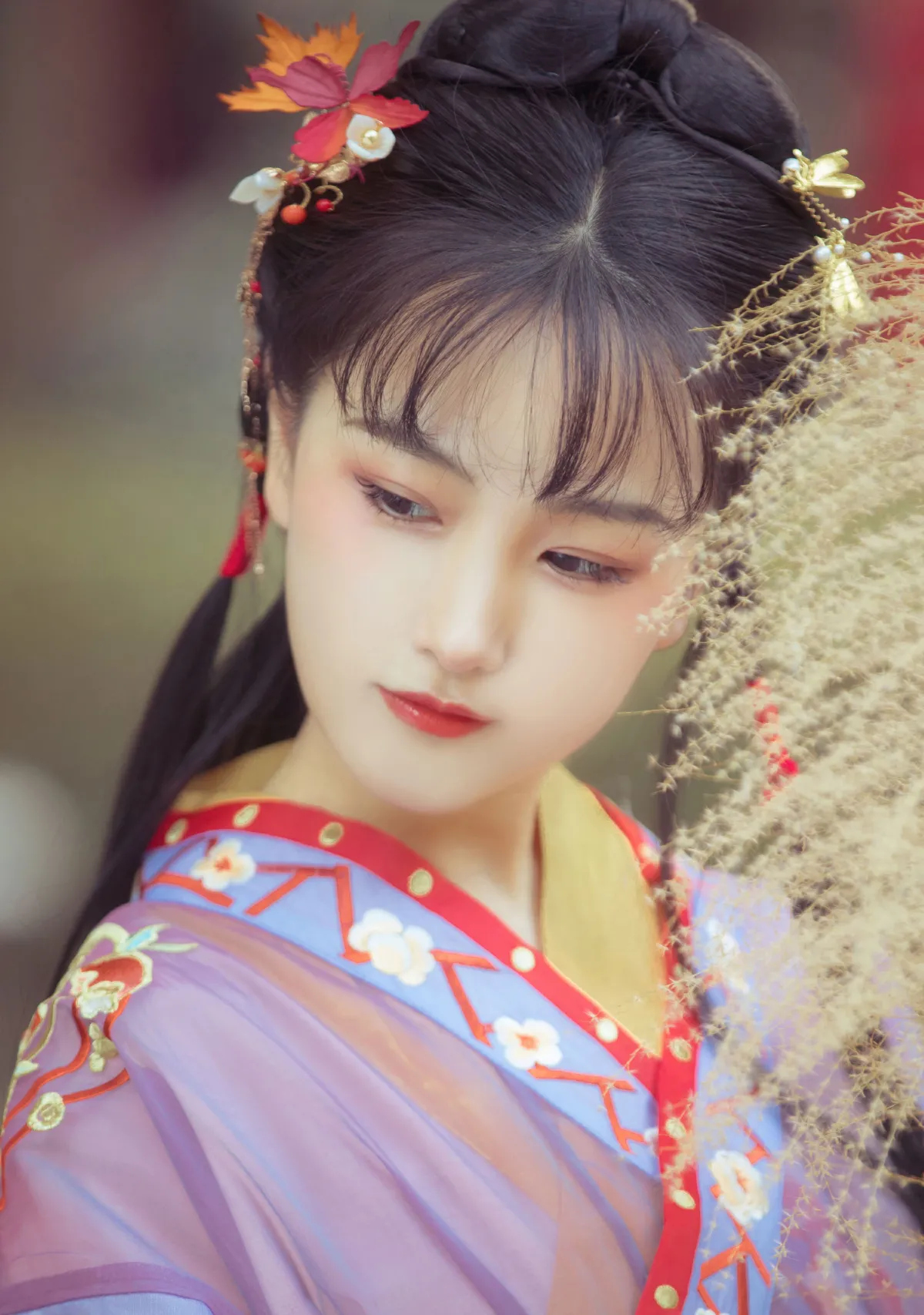 天竺5