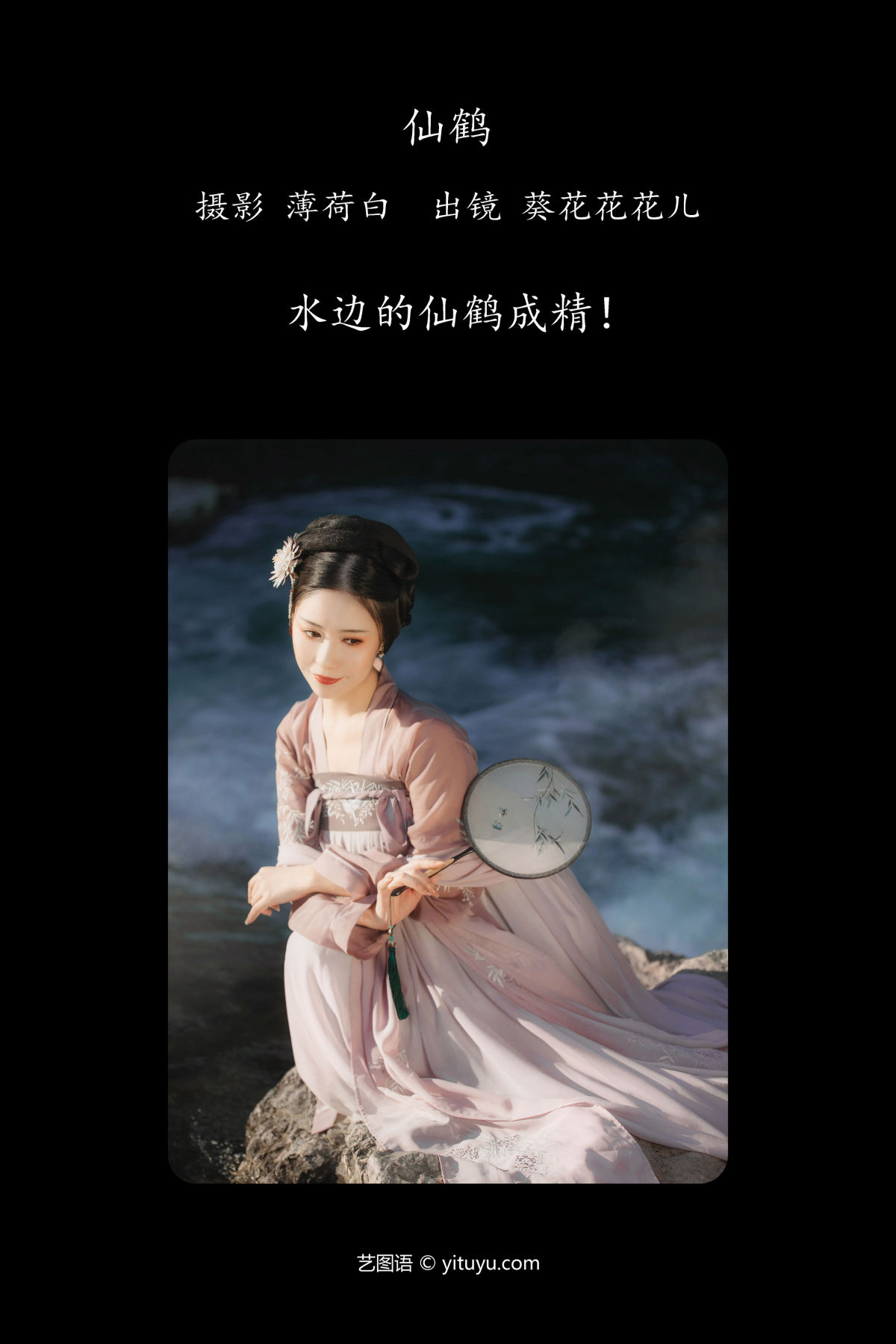 薄荷白_葵花花花儿《仙鹤》美图作品图片2