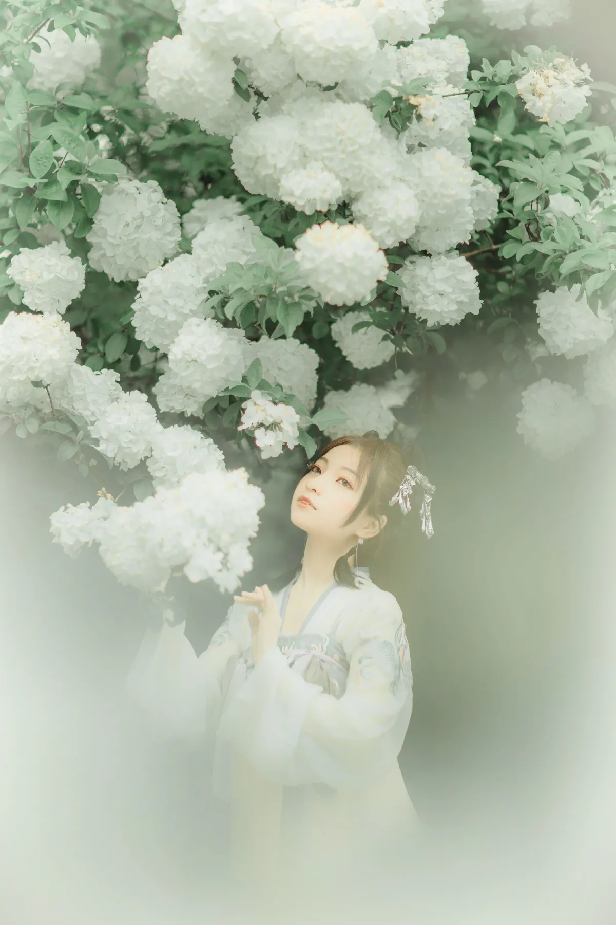拂花1