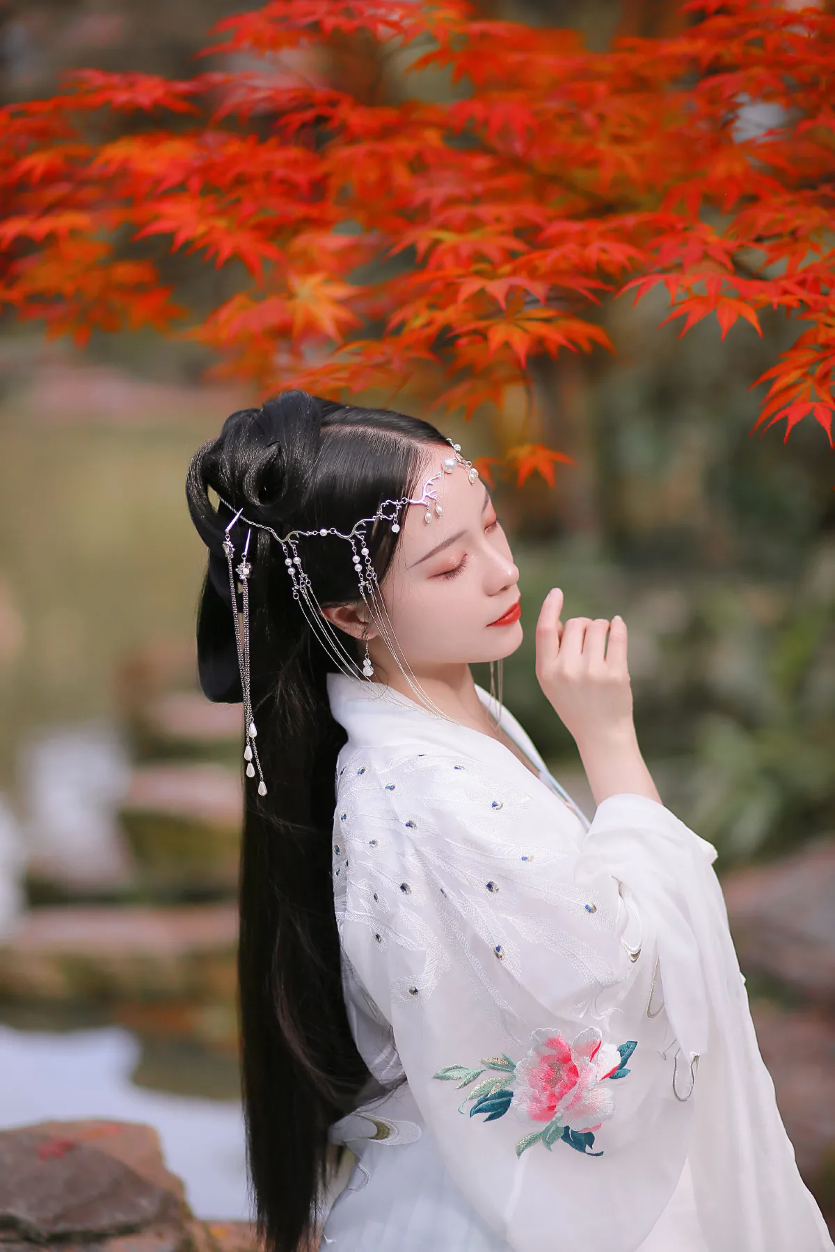 长相思1