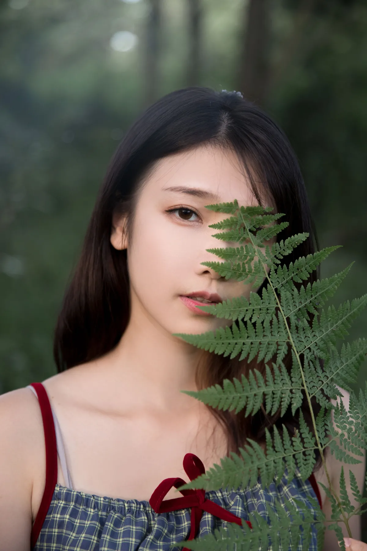 忘忧草