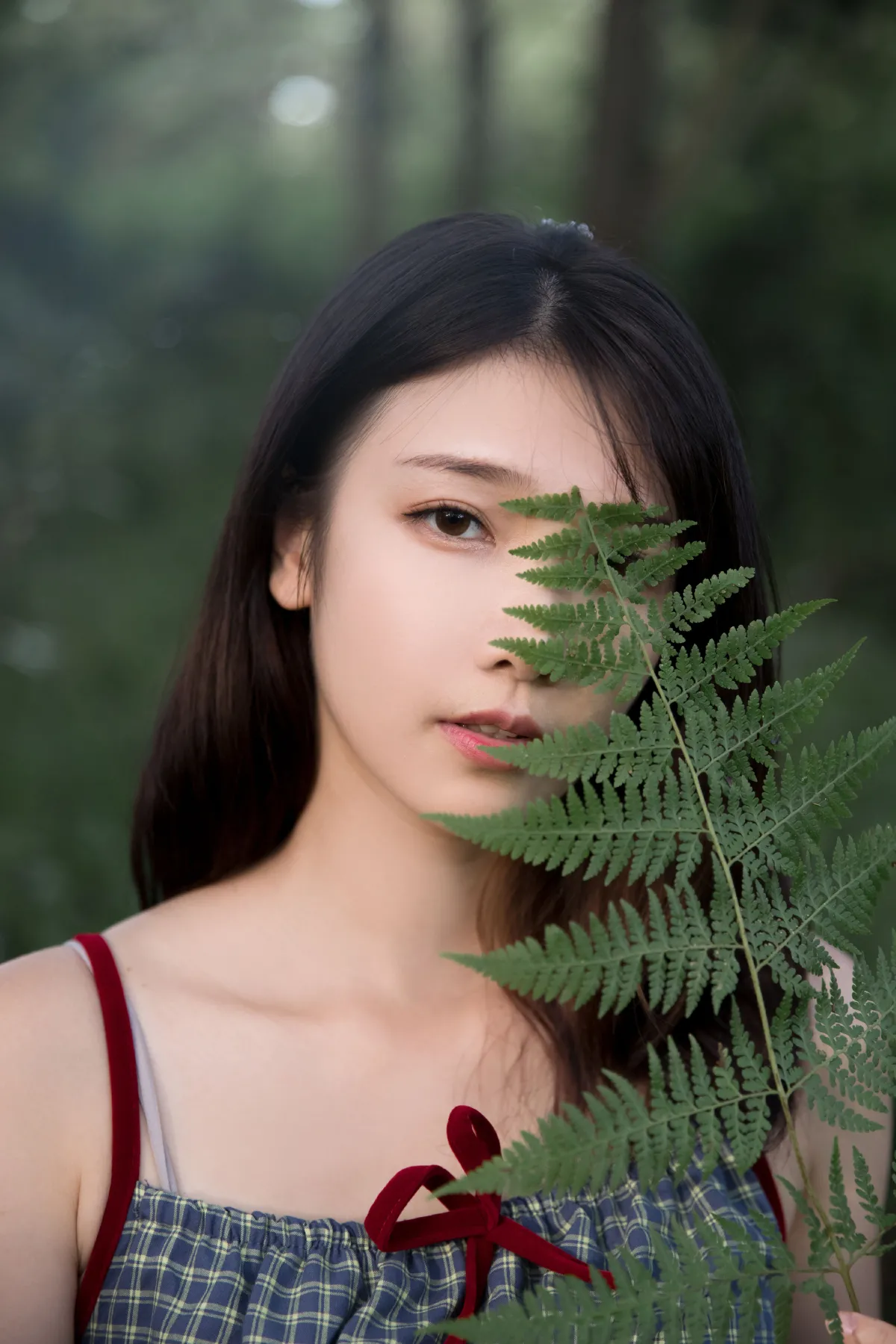 忘忧草1