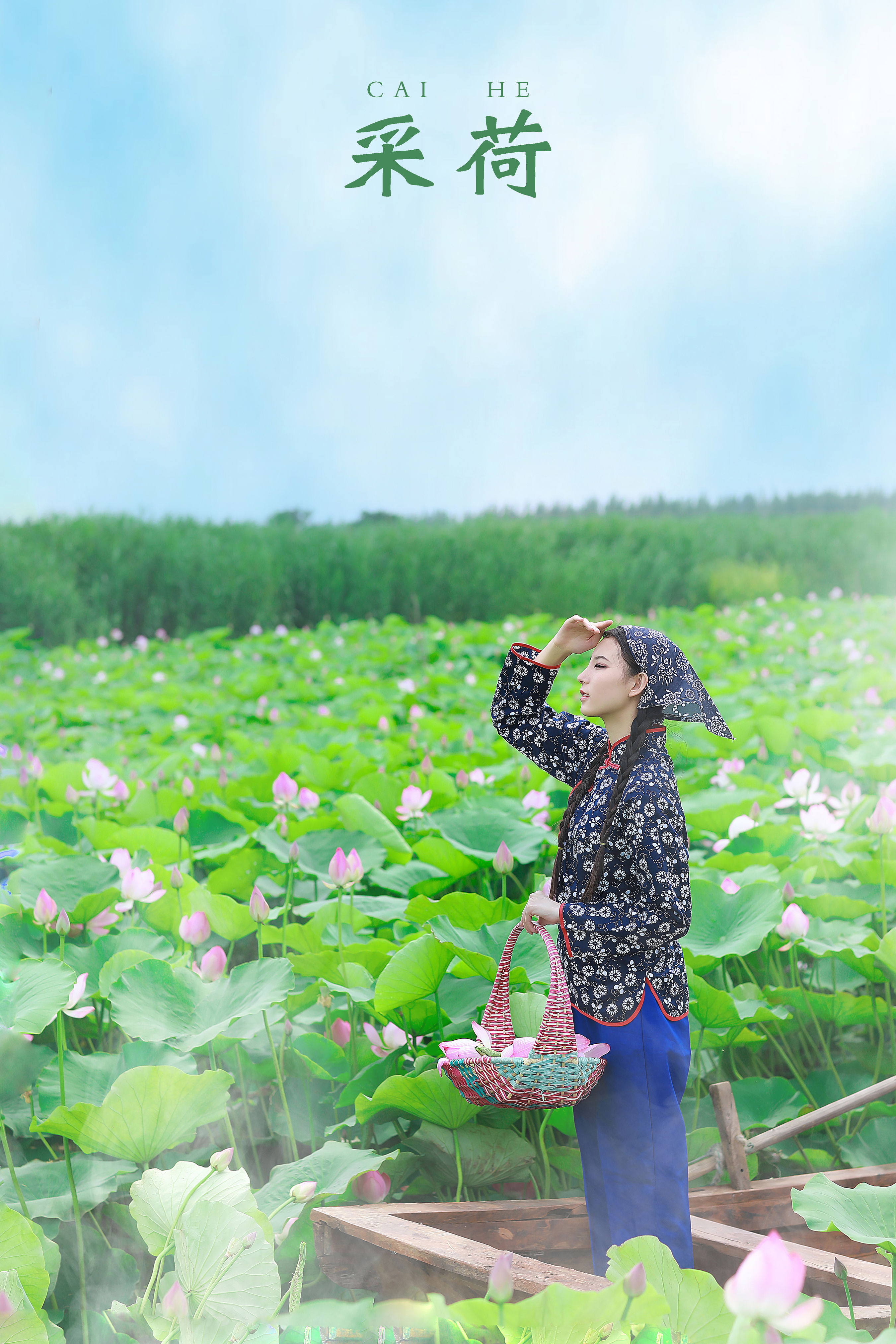 海阔天空_孔荻《采荷》美图作品图片1