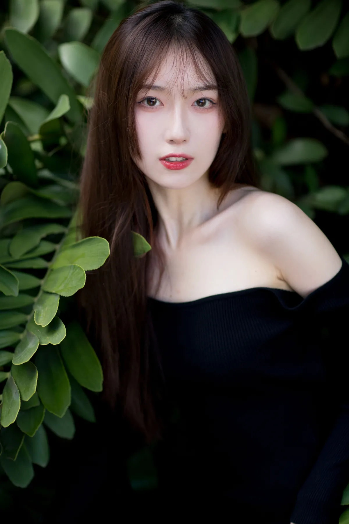 白月光1