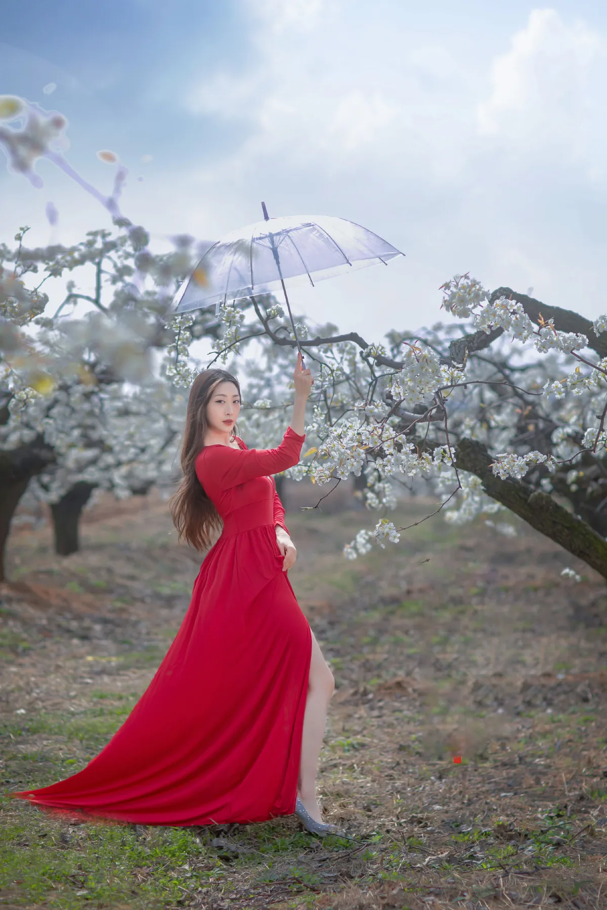 一袭红妆拂梨花2