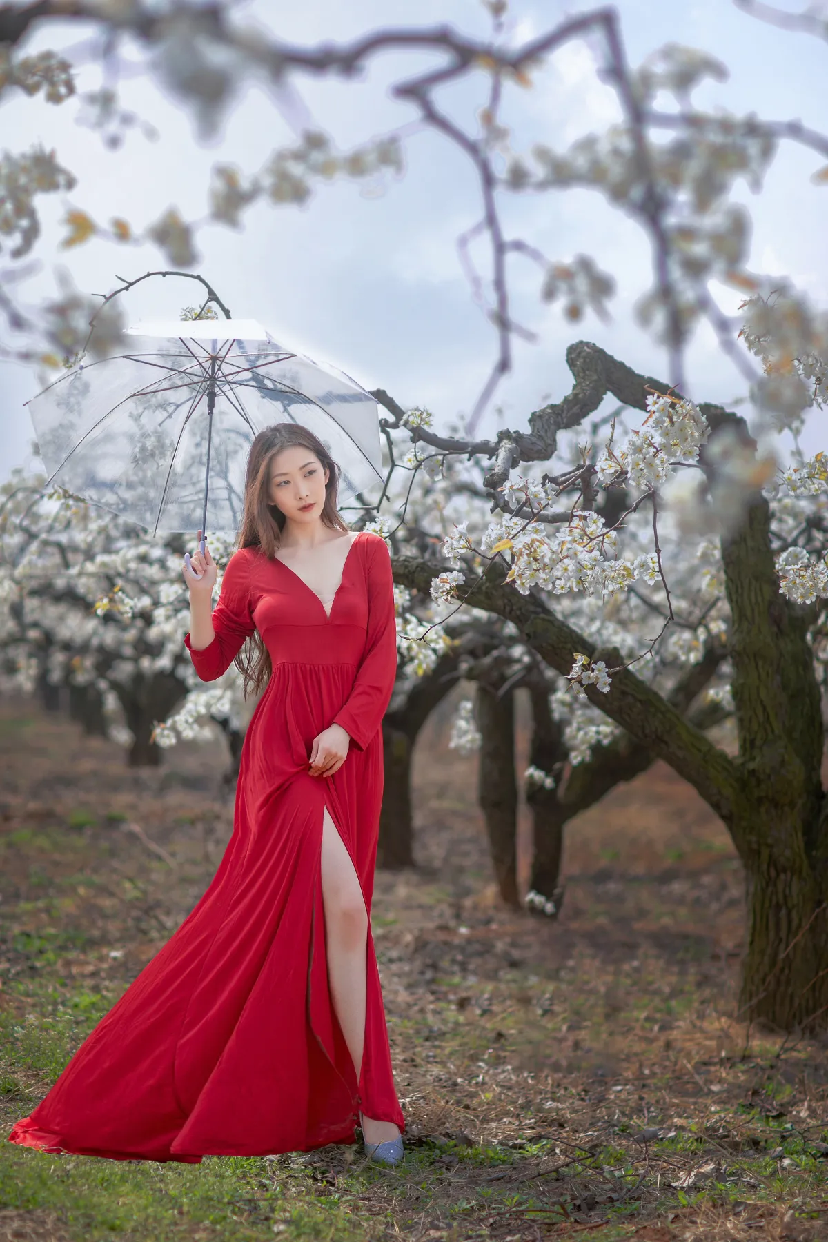 一袭红妆拂梨花3