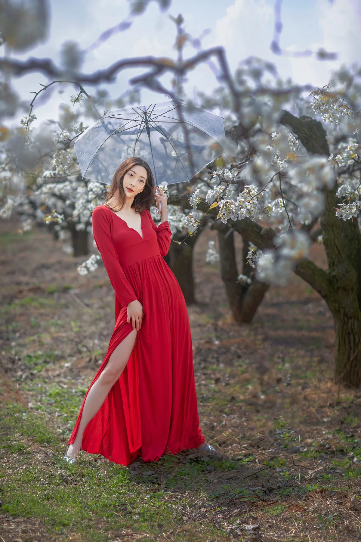 一袭红妆拂梨花