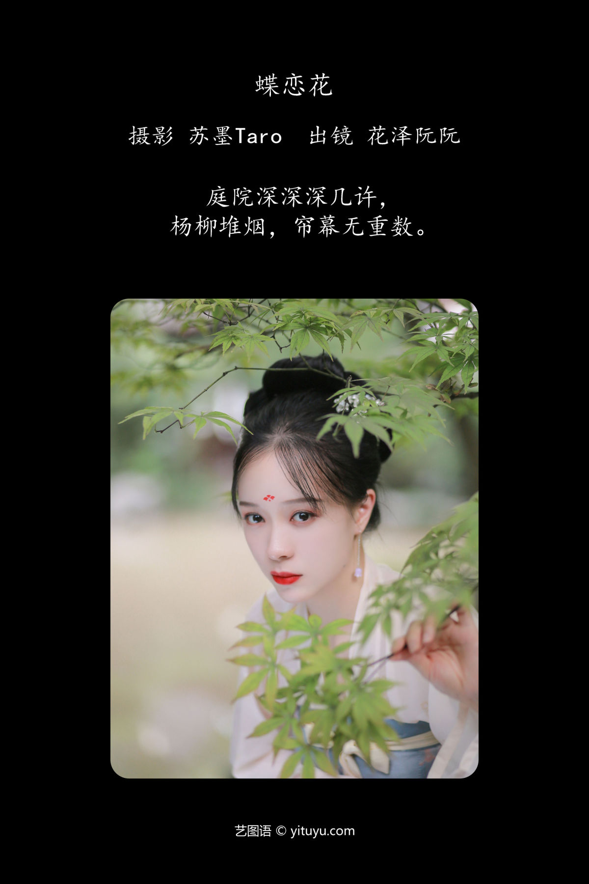 苏墨Taro_花泽阮阮《蝶恋花》美图作品图片2