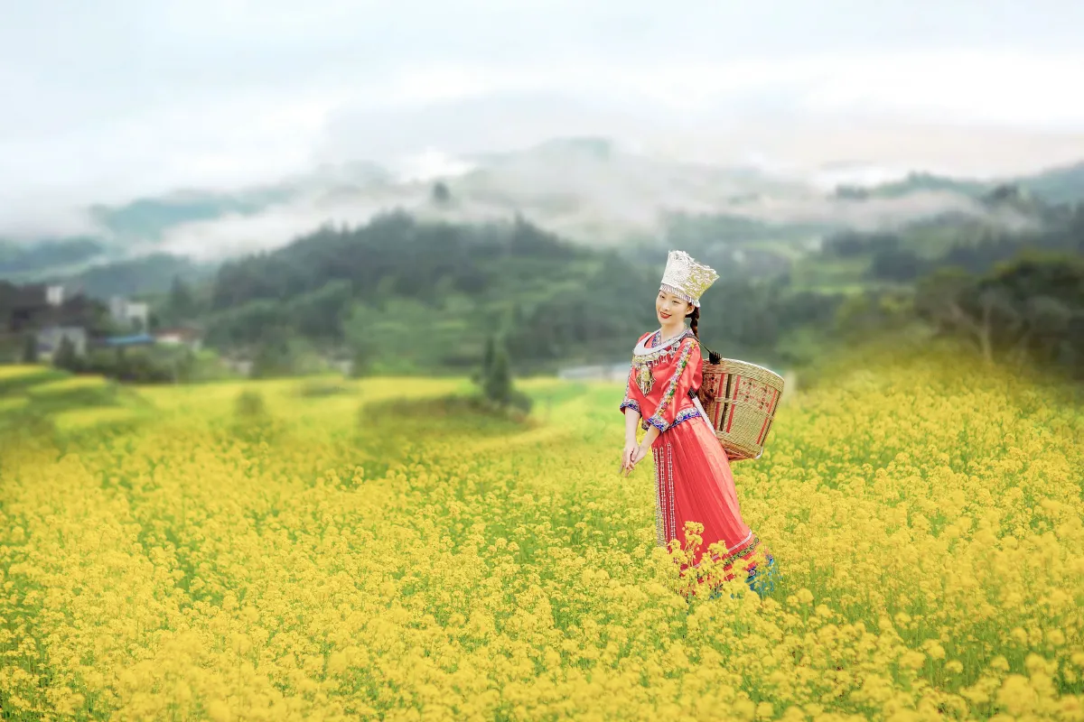 油菜花开