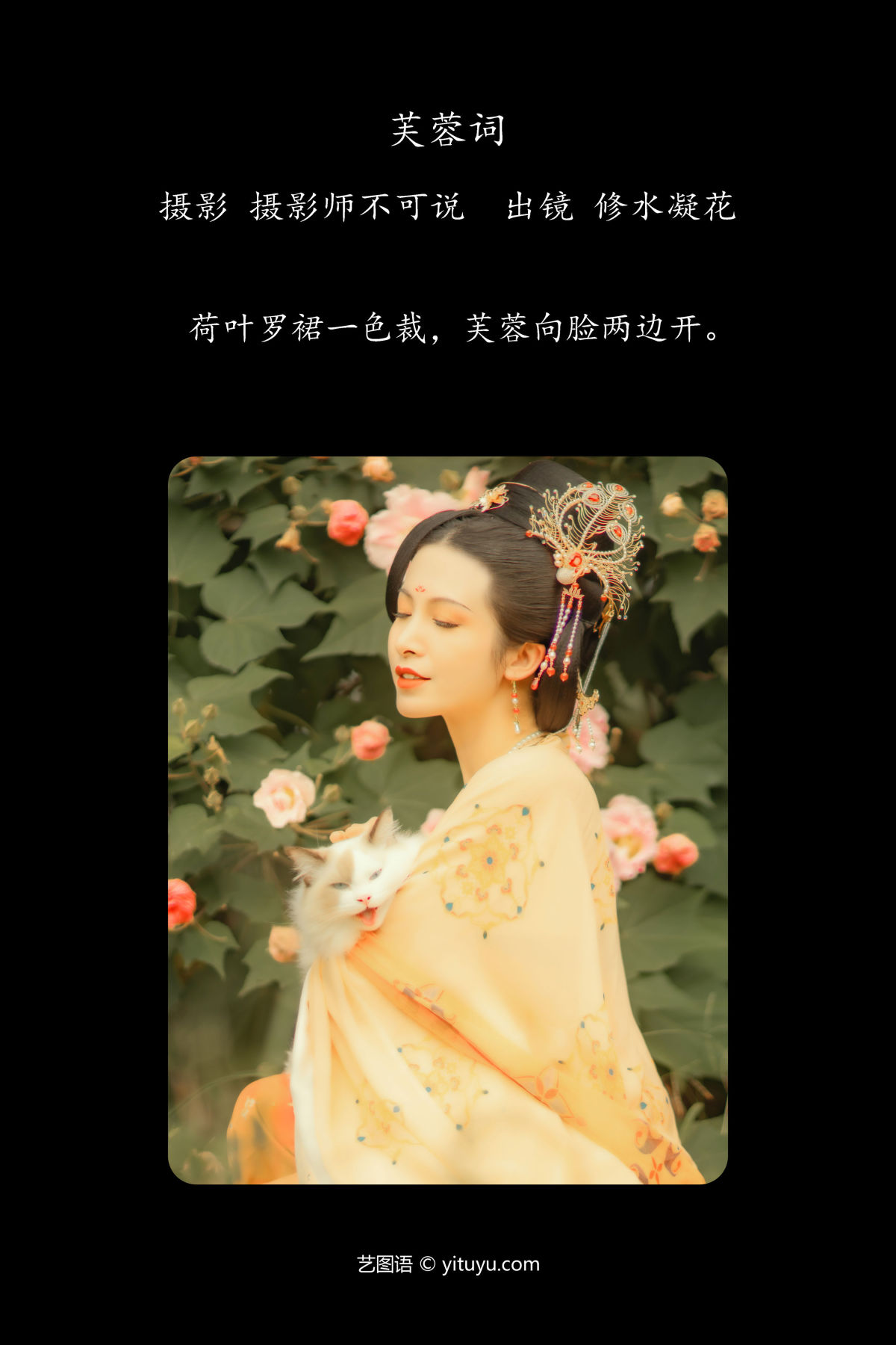 摄影师不可说_修水凝花《芙蓉词》美图作品图片2