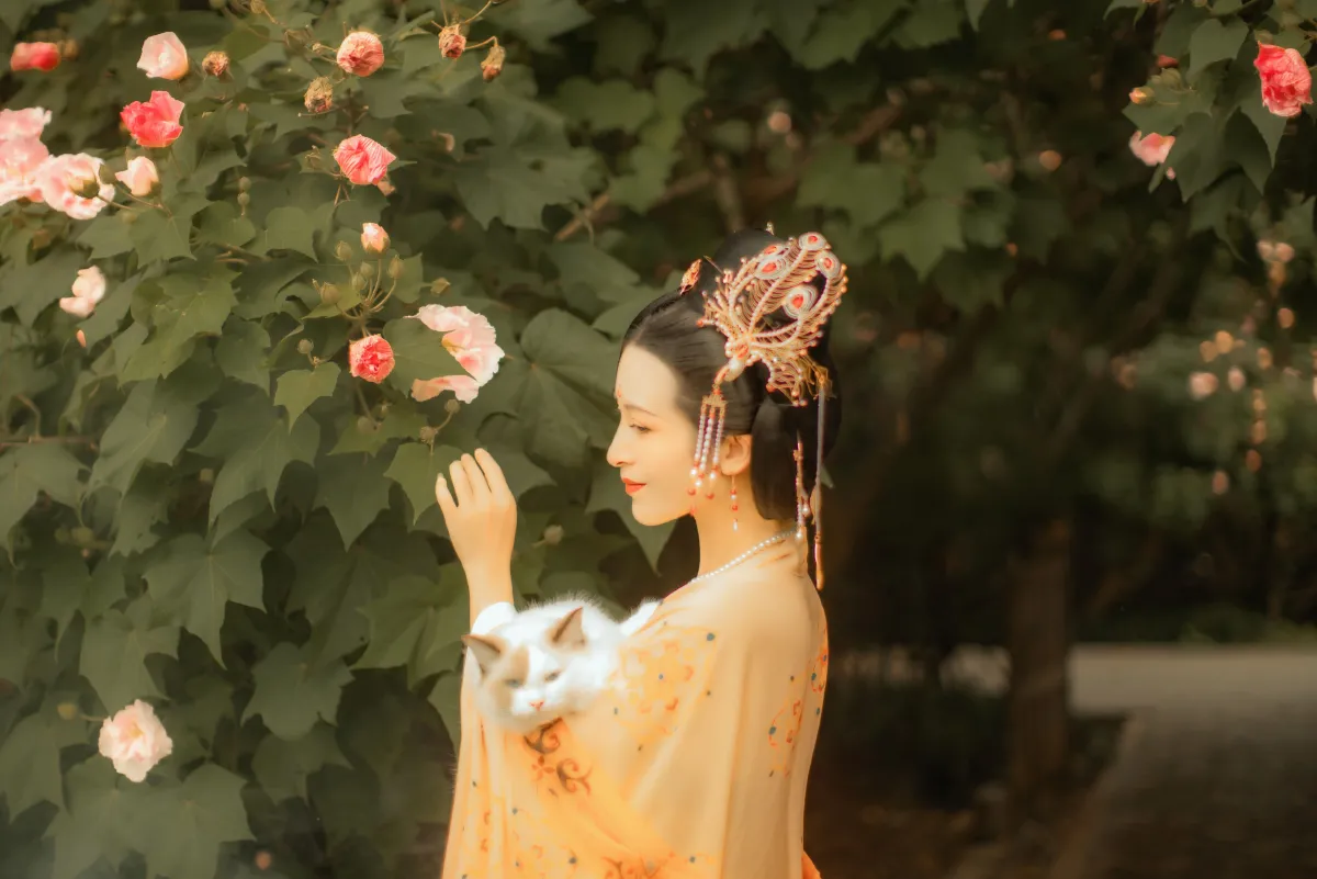 摄影师不可说_修水凝花《芙蓉词》美图作品图片4