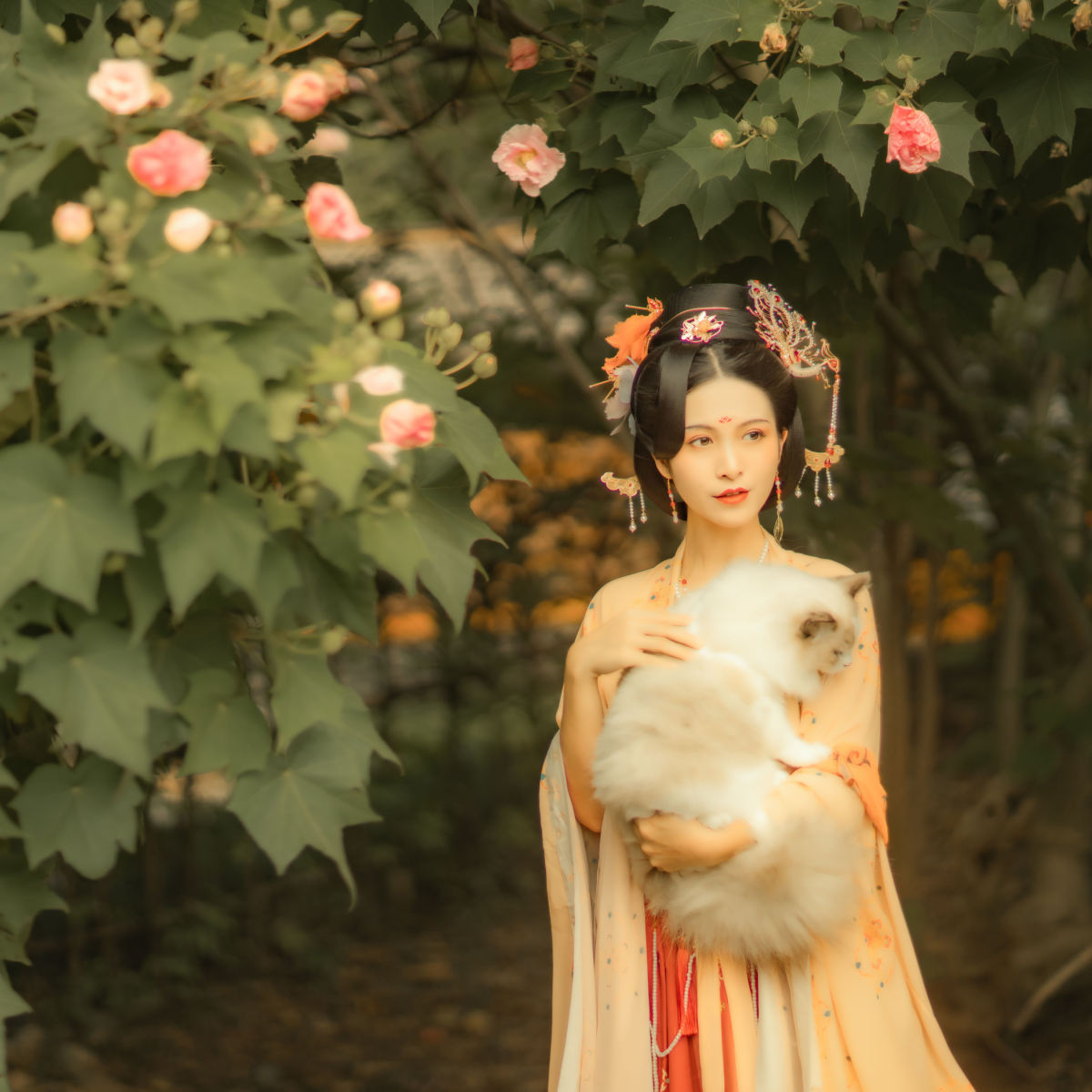 摄影师不可说_修水凝花《芙蓉词》美图作品图片5