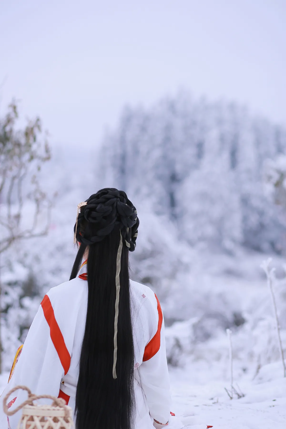 青松