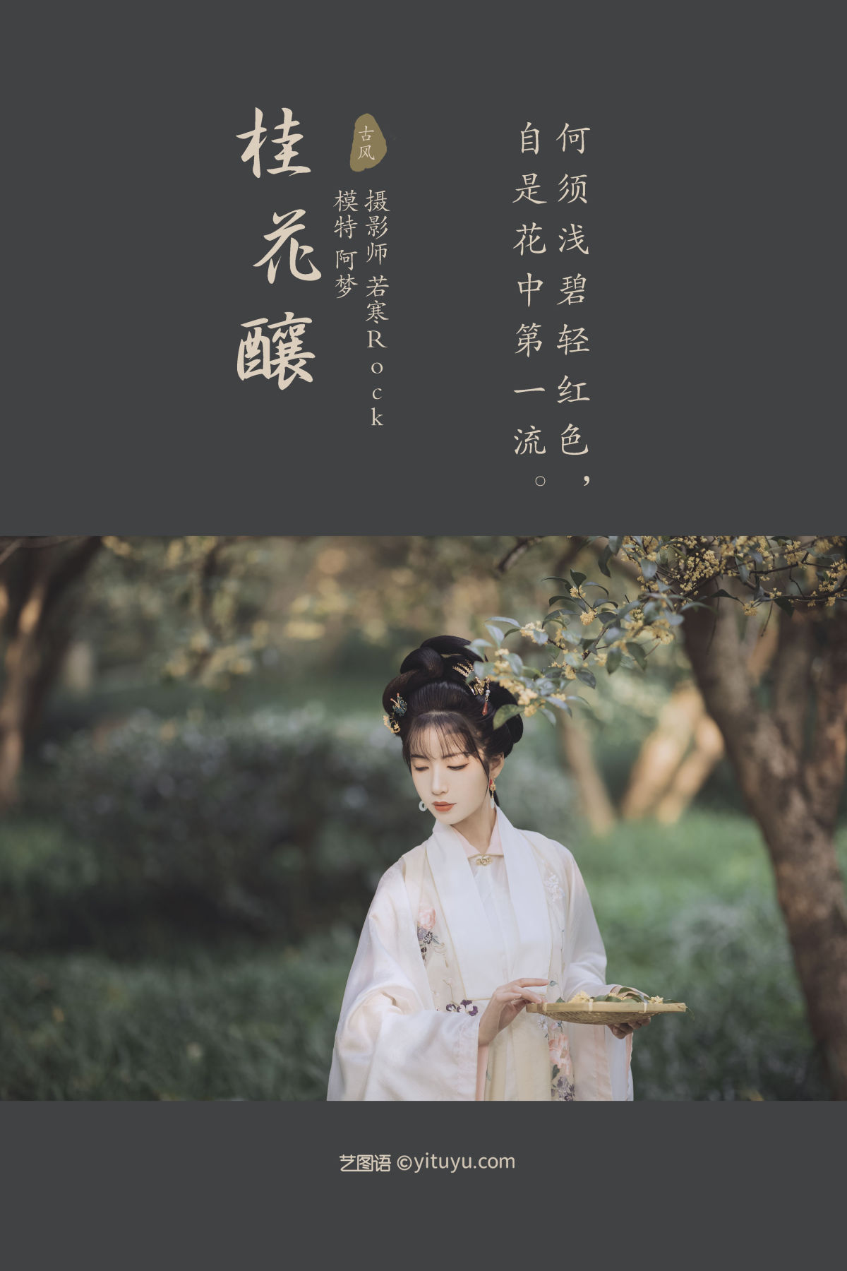 若寒Rock_一只阿梦崽《桂花酿》美图作品图片2