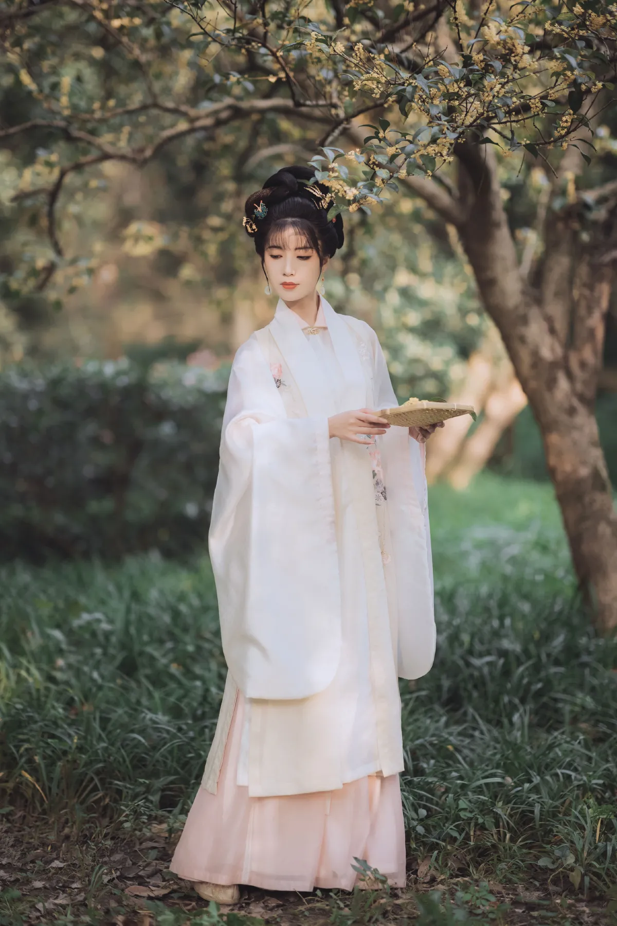 桂花酿