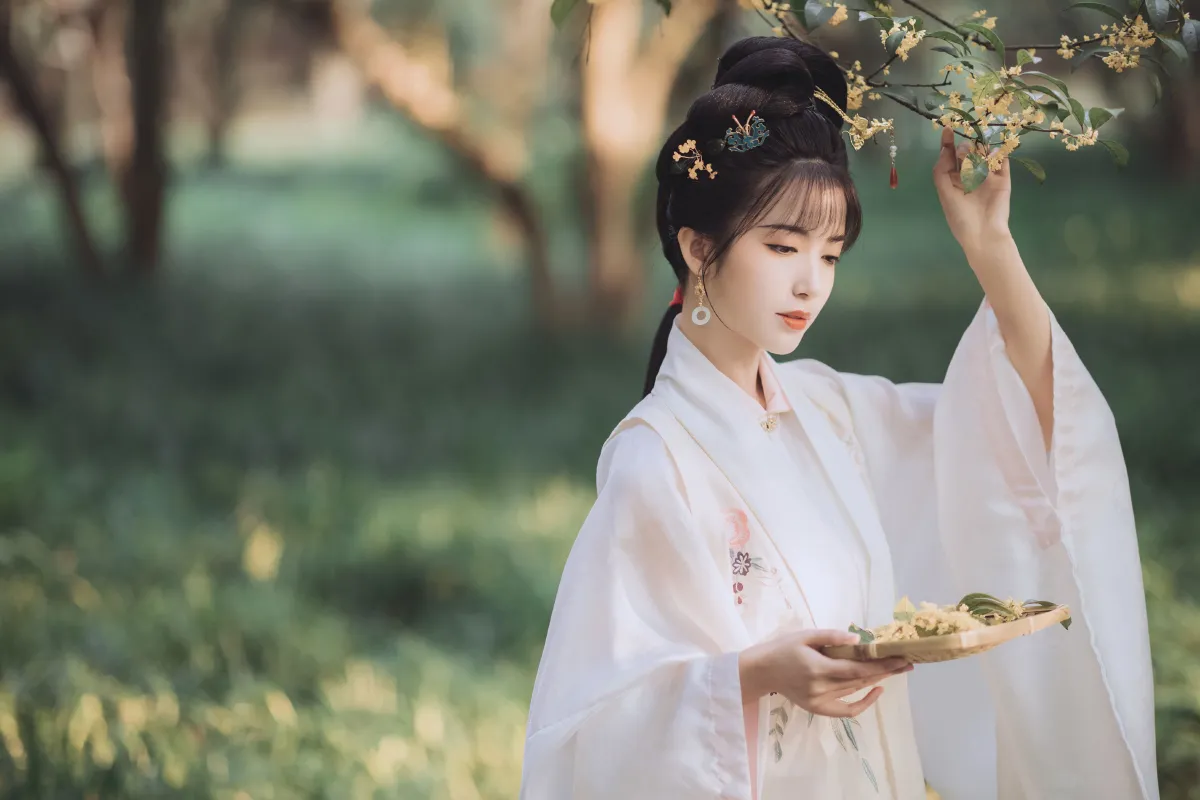 桂花酿