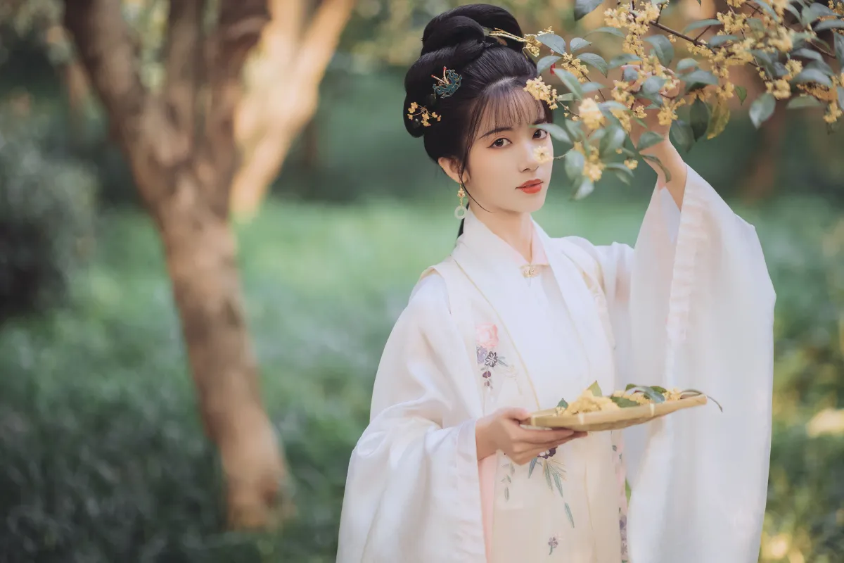 桂花酿