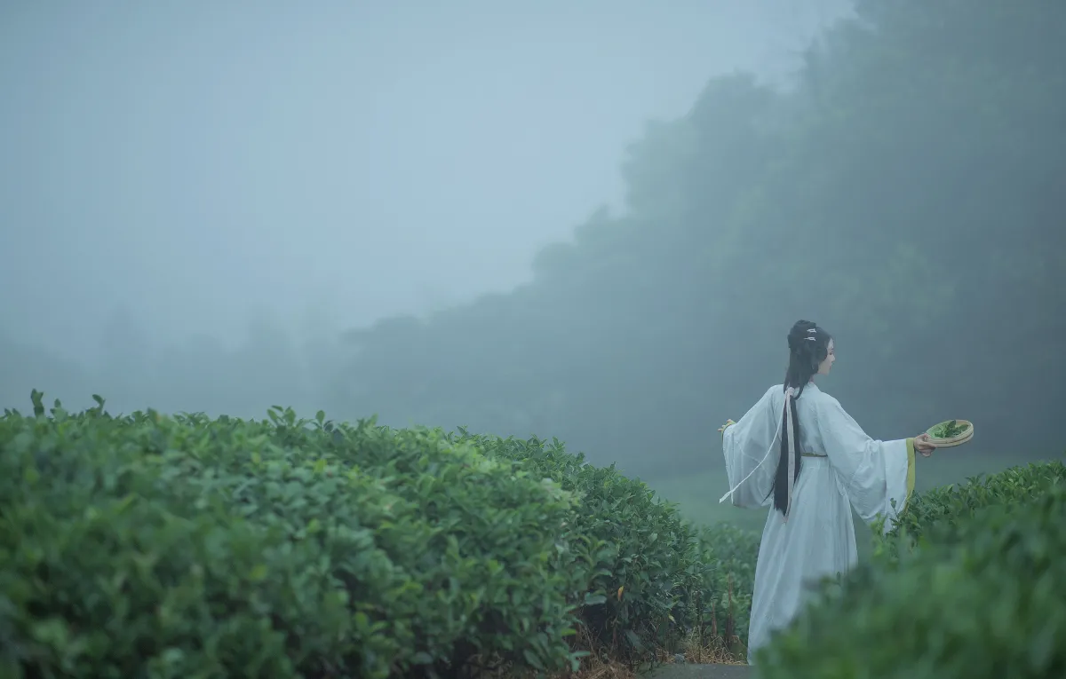 采茶女2