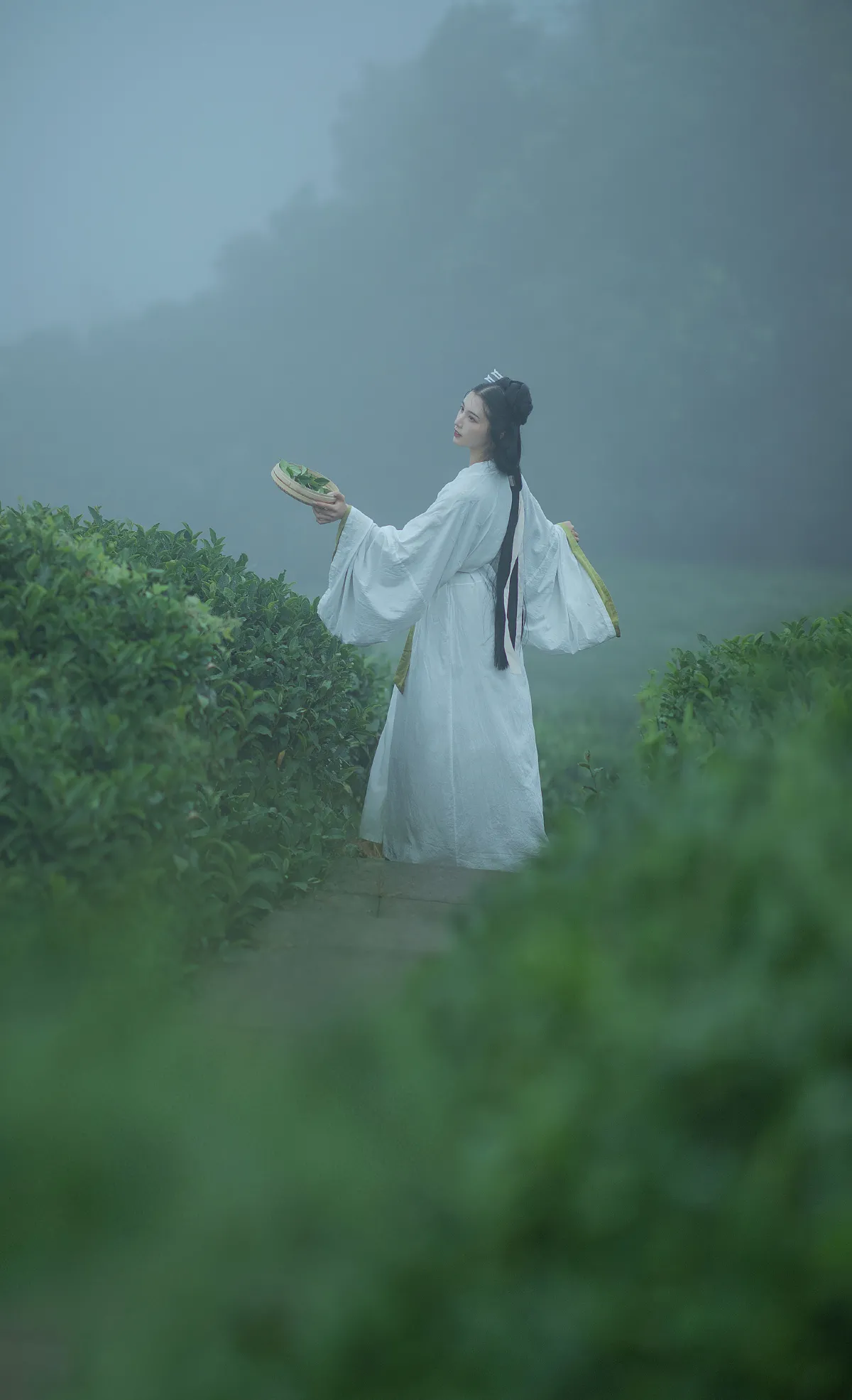 采茶女