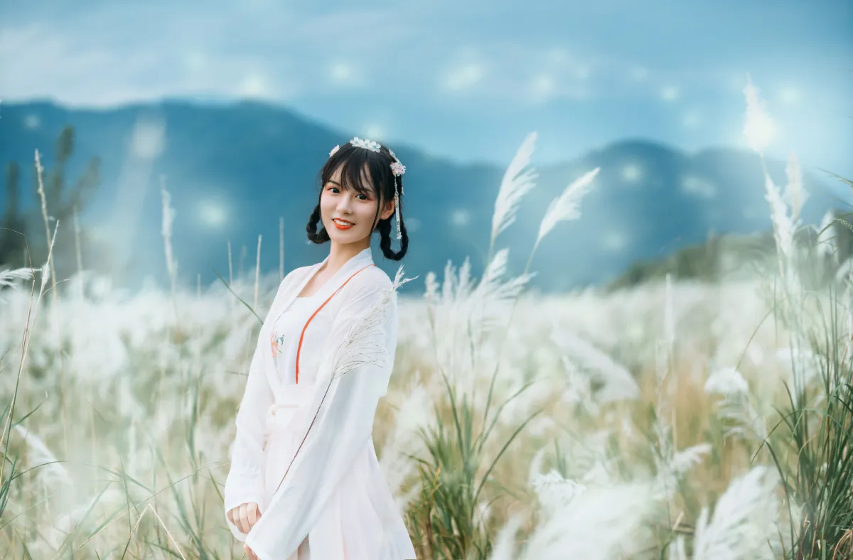 芦风起1