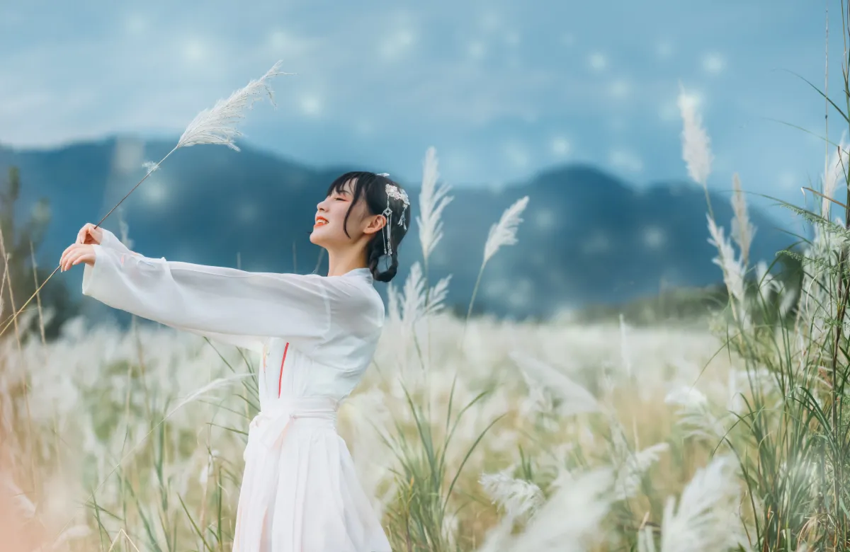 芦风起2