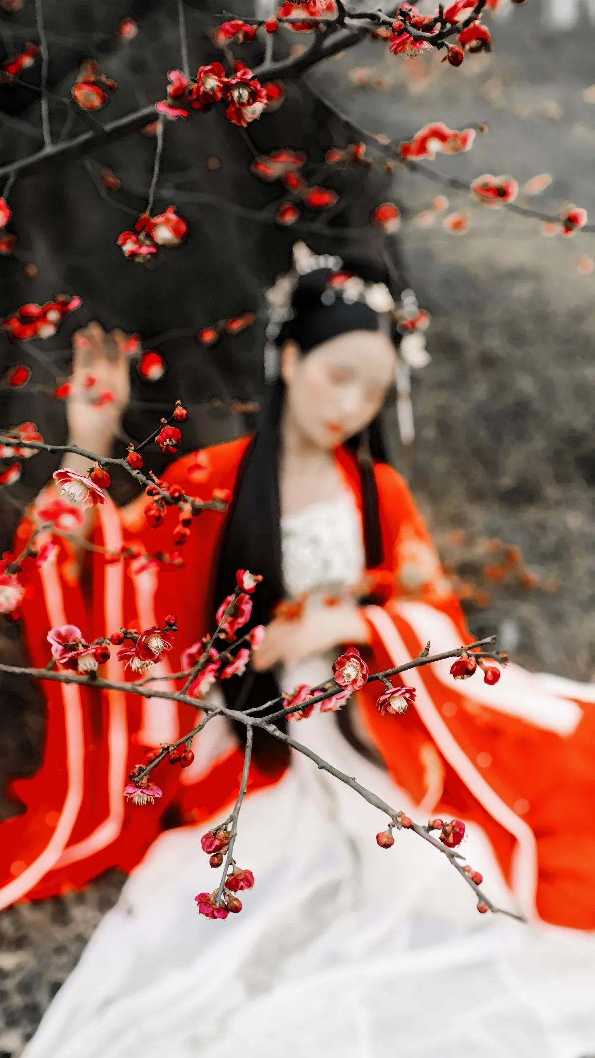 寄春君