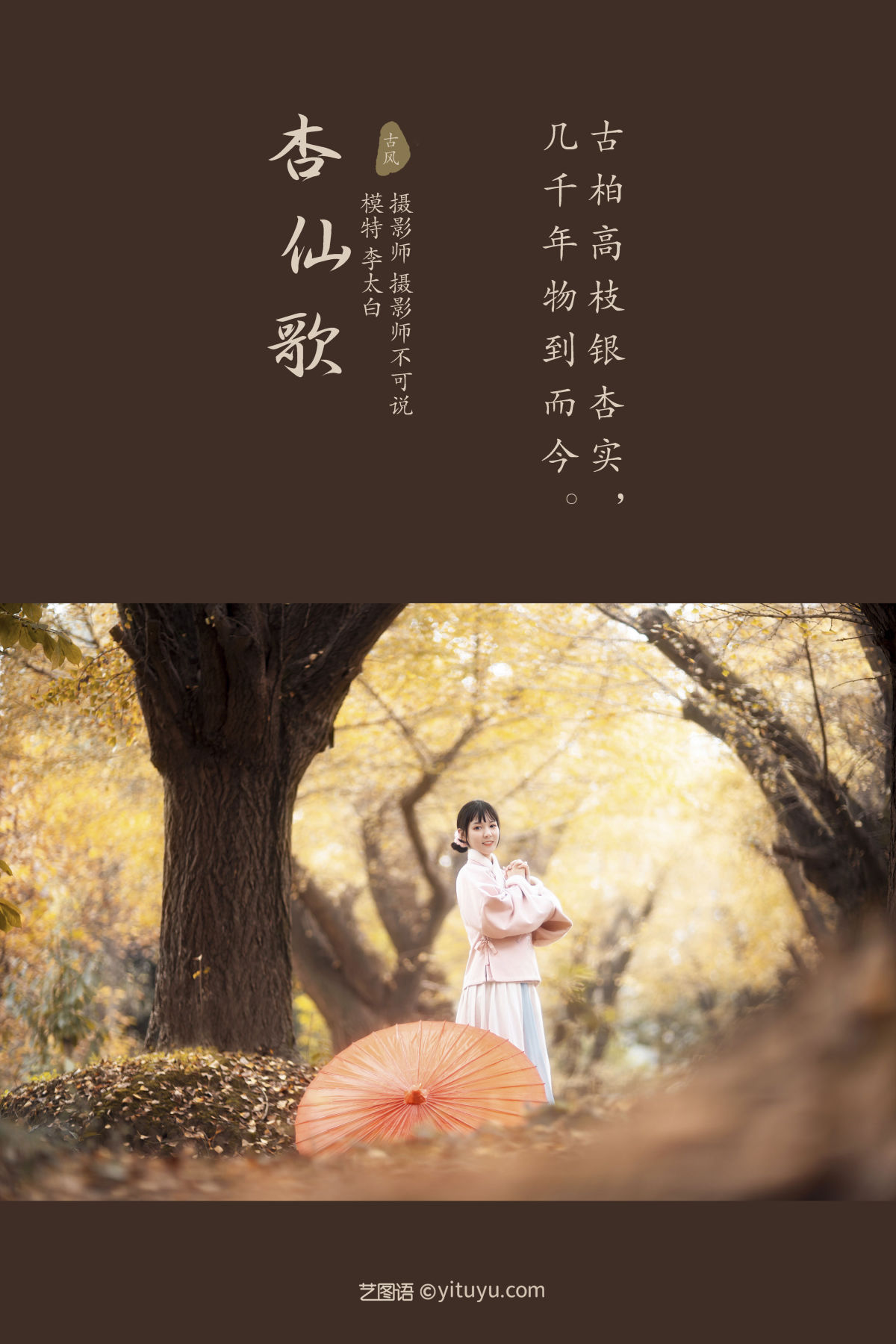 摄影师不可说_李太白《杏仙歌》美图作品图片2