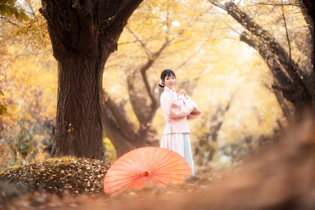 杏仙歌1