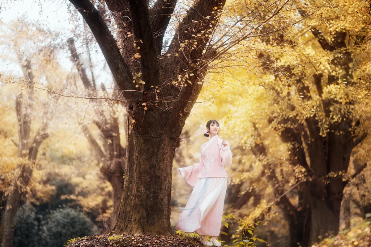杏仙歌