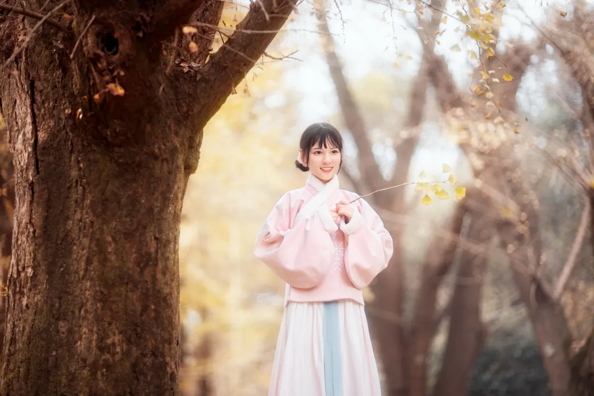 杏仙歌3