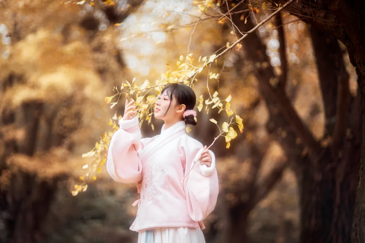 杏仙歌